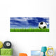 Black Soccer Ball Field Wall Mural