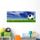 Black Soccer Ball Field Wall Mural