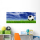 Black Soccer Ball Field Wall Mural