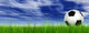 3D black soccer ball,green grass and a blue sky with clouds Wall Mural