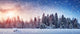 Beautiful Tree Winter Landscape Wall Decal