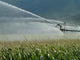 Irrigation Wall Decal