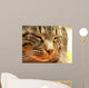 CAT Wall Mural