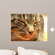 CAT Wall Mural