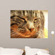 CAT Wall Mural