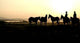 Cowboy and Sunrise Wall Decal