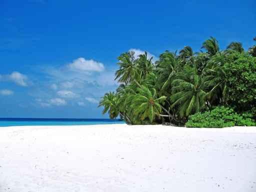 Fihalhohi Beach Wall Decal
