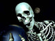 Earth and Bone 10 Wall Decal