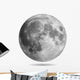 Realistic Full Moon Wall Decal