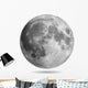 Realistic Full Moon Wall Decal