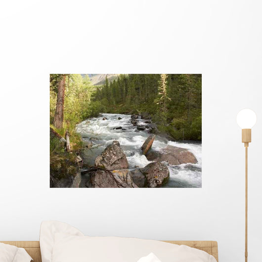 Rapid Mountain Stony River Wall Decal