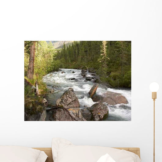 Rapid Mountain Stony River Wall Decal