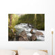 Rapid Mountain Stony River Wall Decal
