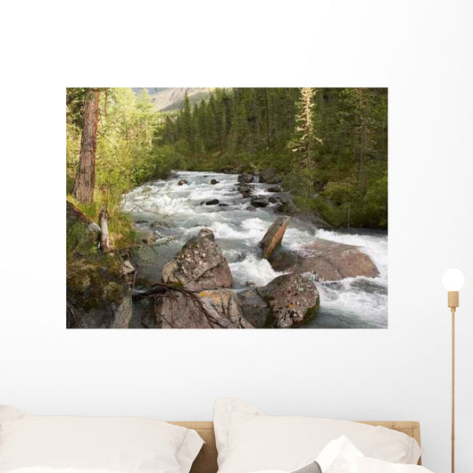 Rapid Mountain Stony River Wall Decal