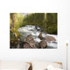 Rapid Mountain Stony River Wall Decal