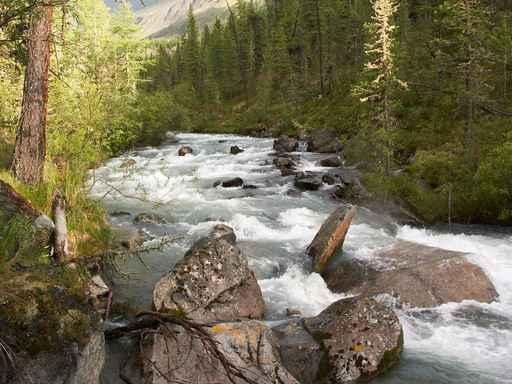 Rapid Mountain Stony River Wall Decal
