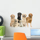 6 Golden Retriever and Labrador Facing Camera Wall Decal