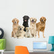 6 Golden Retriever and Labrador Facing Camera Wall Decal