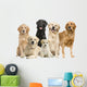 6 Golden Retriever and Labrador Facing Camera Wall Decal