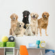 6 Golden Retriever and Labrador Facing Camera Wall Decal