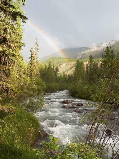 Double Rainbow Wall Decal