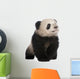 Giant Panda 6 Months Wall Decal