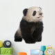 Giant Panda 6 Months Wall Decal