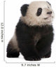 Giant Panda 6 Months Wall Decal