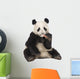 Giant Panda (18 months) - Ailuropoda melanoleuca Wall Decal