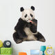 Giant Panda (18 months) - Ailuropoda melanoleuca Wall Decal