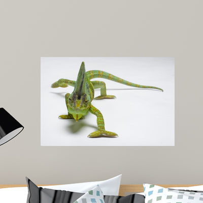 Chameleon Wall Mural shown on a wall