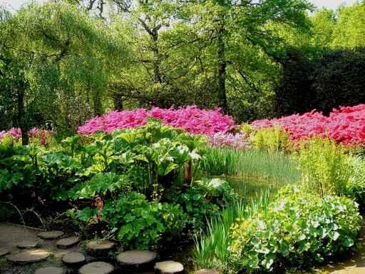 Garden Scene Wall Decal