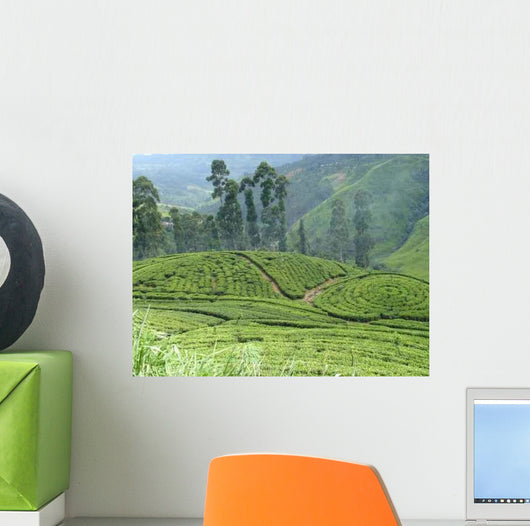 Tea Plantation Wall Decal