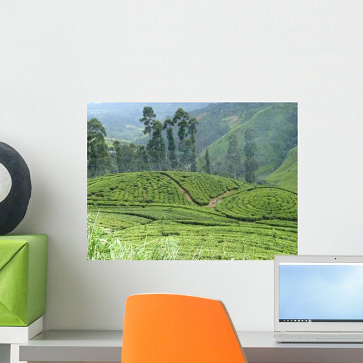 Tea Plantation Wall Decal