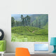 Tea Plantation Wall Decal