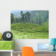 Tea Plantation Wall Decal