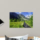 Alpine Brook Wall Mural