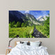 Alpine Brook Wall Mural