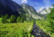 Alpine Brook Wall Mural