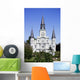 st. louis cathedral Wall Mural