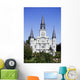 st. louis cathedral Wall Mural