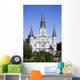 st. louis cathedral Wall Mural