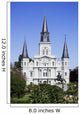 st. louis cathedral Wall Mural