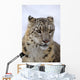 Snow leopard Wall Mural