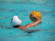Water Polo Series Wall Mural