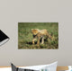 Cheetah Cub Wall Decal Design 1