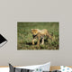 Cheetah Cub Wall Decal Design 1