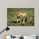 Cheetah Cub Wall Decal Design 1