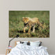 Cheetah Cub Wall Decal Design 1