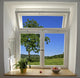 Window view Wall Mural